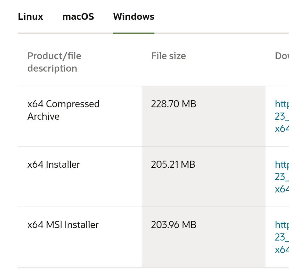 JDK Windows 分頁下載截圖